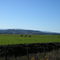 Camino a Lumaco