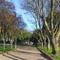 Plaza Huequen Novena Region Chile