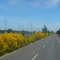 Ruta N-97