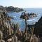 Caleta Panulcillo