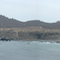 PUNTA GORDA ( PALO GORDO )