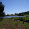 Laguna Chañihuen