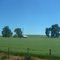 Campos en Trupán