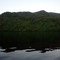 Río cerca de la barra