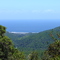 Vista de Hueicolla desde camino hacia La Unión