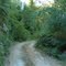 Reserva Costera Valdiviana, camino a Hueicolla