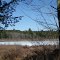 Weirs Pond from the Blue Trail