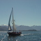 Sailing the Ancud Gulf