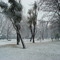 Plaza P.H.A. Nieve Agosto 07