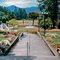 (2.271)  Termas de Panimávida, VII Región del Maule, Chile (Análoga, 01 enero 1985)