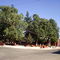 Plaza Colbun