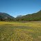 Valle del río Putagán. precordillera de Linares