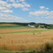 Hamburg Farm View