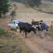 Operativo médico de posta Rafael en el campo. Sector Rafael, Tomé