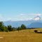 Volcán Puntiagudo desde la pradera, Región de los Lagos, Chile.