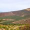 Os Viñedos de Talca