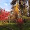 Otoño en el campo