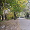 Al cementerio