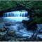 " Estero Renahue " Huerquehue National Park, Pucón-CHILE / by: Jorge Campos Vivallos.
