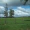 cunco, temuco, chile