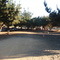 Camping  Municipal