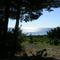 Playa y campo.