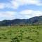 campo