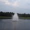 Pond at Dog Wood Acres