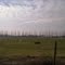 CANCHA DE FUTBOL EN LO BOZA