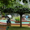 PLAZA CUREPTO