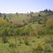 desde mi campo en lautaro