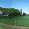 ...campos de trigo en maduracion....