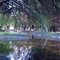 Parque isabel riquelme