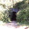 Tunel ferrodiario lebu