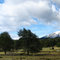 Llanada Grande