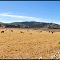 ► Panorámica rural ®