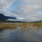 Laguna Zancudo