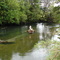 Pescando en la jungla del río Risopatrón