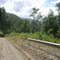 Ruta Interlagos Cunco-Villarrica