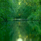 Nehalem River near Vernonia, Oregon