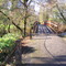 Bridge over Rock Creek on the Banks Vernonia Linear Trail