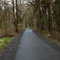 Path from Banks-Vernonia trail to Vernonia Lake