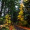 Banks-Vernonia State Trail