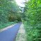 banks vernonia trail July 2012