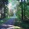 banks vernonia trail July 2012