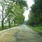 Whitemarsh Twp, PA on Stenton Avenue heading north