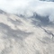 Ash covered forest