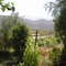Paltos jovenes panoramico de connstanza grisselle