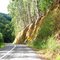 Señalética de una curva cerrada en Ruta Santa Juana – Carampangue