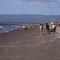 playa de Arauco